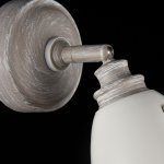 Светильник спот Maytoni SP289-CW-01-BG Agnes