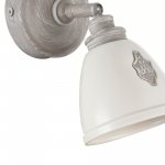 Светильник спот Maytoni SP289-CW-01-BG Agnes