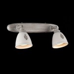 Светильник спот Maytoni SP289-CW-02-BG Agnes