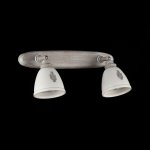 Светильник спот Maytoni SP289-CW-02-BG Agnes