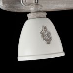 Светильник спот Maytoni SP289-CW-02-BG Agnes