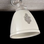 Светильник спот Maytoni SP289-CW-03-BG Agnes