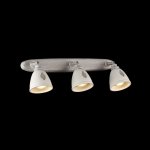 Светильник спот Maytoni SP289-CW-03-BG Agnes