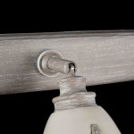 Светильник спот Maytoni SP289-CW-03-BG Agnes