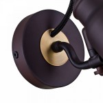 Спот Maytoni SP315-CW-01-BR Borgo