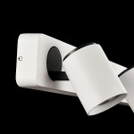 Спот Maytoni SP317-CW-03-W Alliot