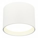 Светильник накладной St luce ST163.502.01 Накладные светильники