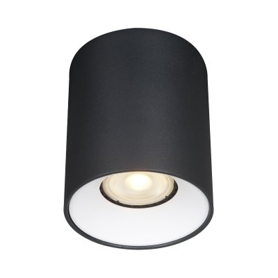 Светильник накладной St luce ST167.452.01 Накладные светильники Светильник накладной St luce ST167.452.01 Накладные светильники