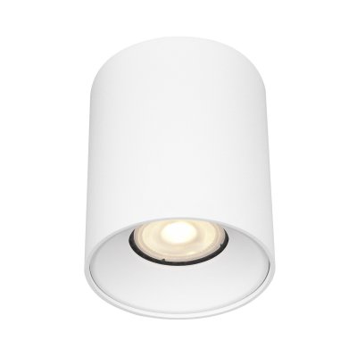 Светильник накладной St luce ST167.502.01 Накладные светильники