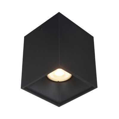 Светильник накладной St luce ST168.402.01 Накладные светильники Светильник накладной St luce ST168.402.01 Накладные светильники