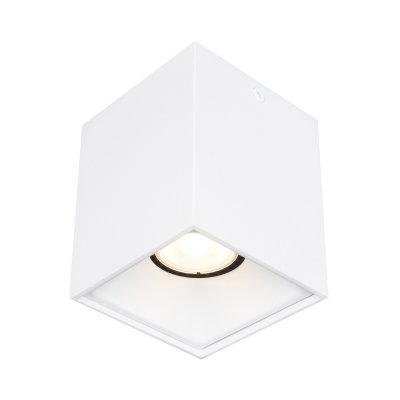 Светильник накладной St luce ST168.502.01 Накладные светильники