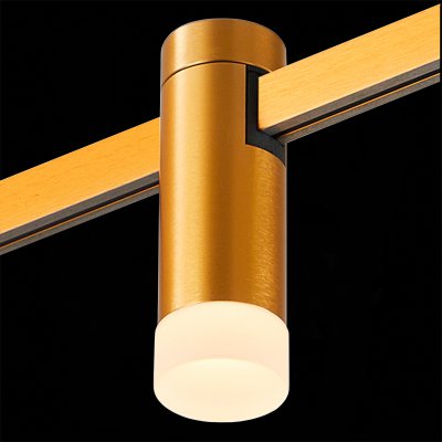 Магнитный трековый светильник FARM St luce ST812.206.03 ST812