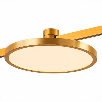 Светильник встраиваемый трековый St luce ST818.246.12 FARM