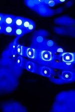 Лента светодиодная SWG SWG360 SWG SWG360-12-4.8-B-65