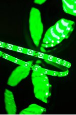 Лента светодиодная SWG SWG360 SWG SWG360-12-4.8-G-65