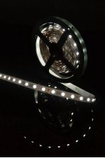 Лента светодиодная SWG SWG560 SWG SWG560-12-14.4-UW