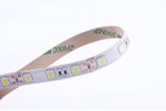 Лента светодиодная SWG SWG560 SWG SWG560-12-14.4-W-65