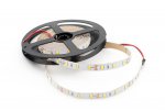 Лента светодиодная SWG SWG660 SWG SWG660-12-20-WW