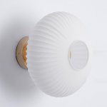 Светильник настенный бра Lussole SY0505 