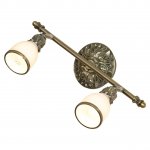 Спотовый светильник Люссоле SY201037