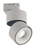 Светильник DesignLed WL DesignLed T003112-GD-12-WH-NW