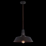 Подвесной светильник Maytoni T023-01-R Campane Campane