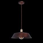 Подвесной светильник Maytoni T027-01-R Pail Pail