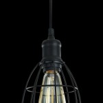 Подвесной светильник Maytoni T447-PL-01-B Denver