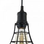 Подвесной светильник Maytoni T449-PL-01-B Denver