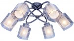 Люстра потолочная Wendy TL1198X-06BC Toplight