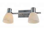 Светильник поворотный спот Sabina TL3700Y-02GR Toplight