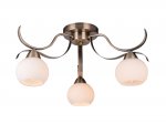 Люстра потолочная Olivia TL3750X-03AB Toplight