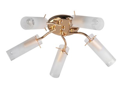 

Люстра потолочная Toplight TL7130X-05FG Brittany