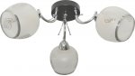 Люстра потолочная Kimberly TL7410X-03BC Toplight