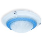 Светильник настенно-потолочный Clare TL9101Y-02BL Toplight