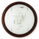 Настенно-потолочный светильник ZIER TL9153Y-02PO Toplight