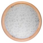 Светильник настенно-потолочный Beatrice TL9280Y-00PN Toplight