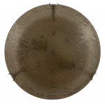 Светильник настенно-потолочный Julianna TL9301Y-02SM Toplight