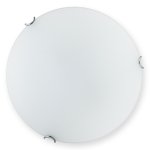 Светильник настенно-потолочный Pauline TL9321Y-02WH Toplight