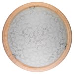 Светильник настенно-потолочный Christina TL9520Y-00PN Toplight