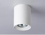 Светильник накладной со сменной лампой GU10 Ambrella TN213136 TN