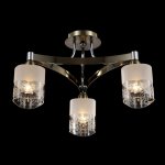 Потолочный светильник Freya RC003-CL-03-R Tasmania