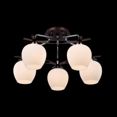 Люстра Maytoni TOC007-05-N Eurosize Люстра Maytoni TOC007-05-N Eurosize