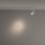 Трековый светильник Maytoni TR003-1-10W4K-S-W Vuoro