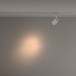 Трековый светильник Maytoni TR029-3-10W3K-S-W Vuoro