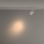 Трековый светильник Maytoni TR029-3-20W3K-S-W Vuoro