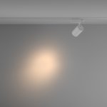 Трековый светильник Maytoni TR029-3-20W3K-S-W Vuoro