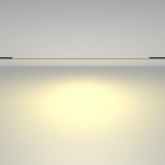 Трековый светильник Maytoni TR030-2-30W2.7K-B Basis