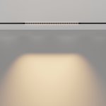 Трековый светильник Maytoni TR031-2-24W3K-B Points