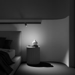 Трековый светильник Maytoni TR032-2-12W2.7K-M-B Focus LED